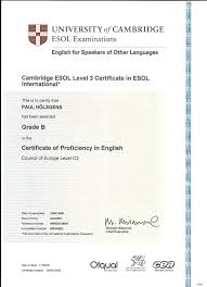 proficiency是什么意思