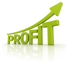profitability是什么意思