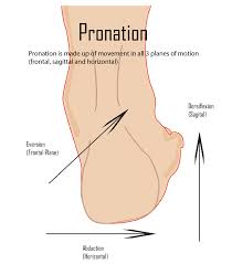 pronation是什么意思
