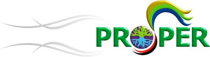 proper是什么意思