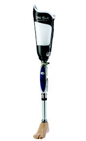 prosthesis是什么意思