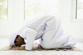prostration是什么意思