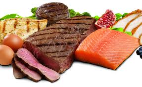 protein是什么意思