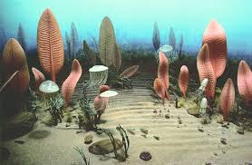 protozoic是什么意思