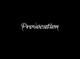 provocation是什么意思