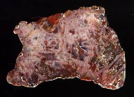 pseudomorph是什么意思