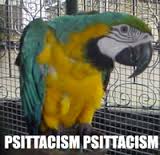 psittacism是什么意思