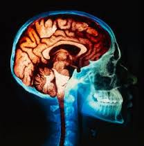 psychopharmacology是什么意思