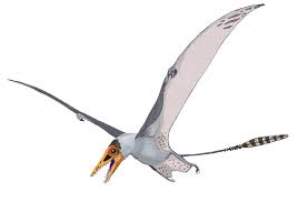 pterosaur是什么意思