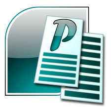 publisher是什么意思