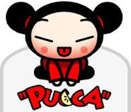 puka是什么意思