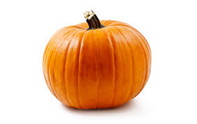 pumpkin是什么意思