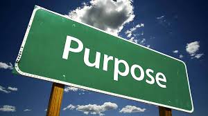 purpose是什么意思