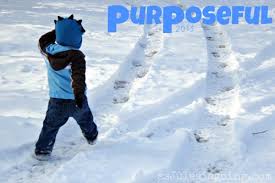 purposefully是什么意思