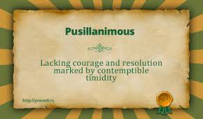 pusillanimity是什么意思