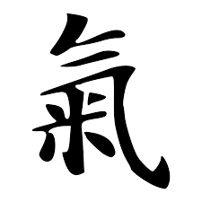 qi是什么意思