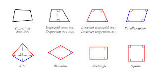 quadrilateral是什么意思