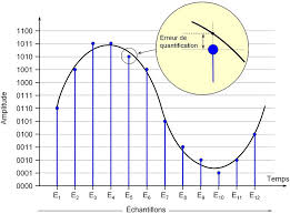 quantification是什么意思