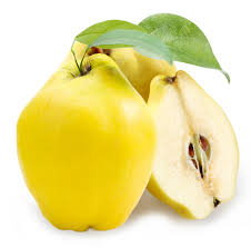 quince是什么意思