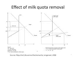 quota是什么意思