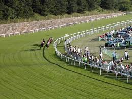 racecourse是什么意思