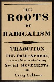 radicalism是什么意思