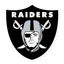raider是什么意思
