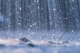 rainwater是什么意思