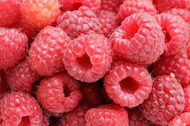 raspberry是什么意思