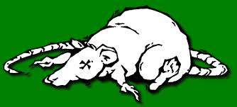 ratsbane是什么意思