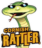 rattler是什么意思