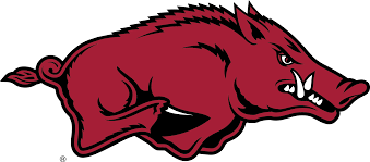 razorback是什么意思