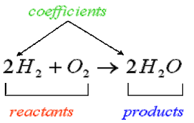 reactant是什么意思