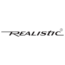 realistic是什么意思