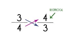 reciprocal是什么意思