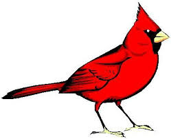 redbird是什么意思