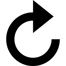 redo是什么意思