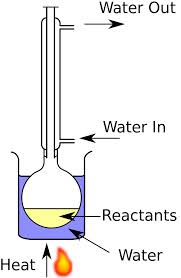 reflux是什么意思