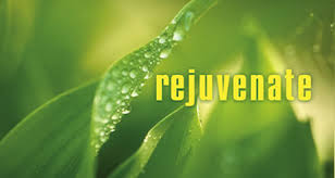 rejuvenate是什么意思