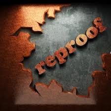 reproof是什么意思