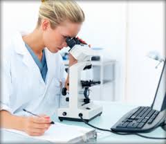 researcher是什么意思