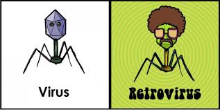 retrovirus是什么意思