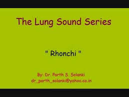 rhonchus是什么意思