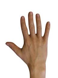right-hand是什么意思