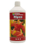ripen是什么意思