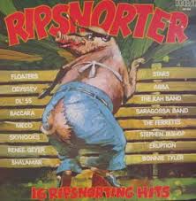 ripsnorter是什么意思