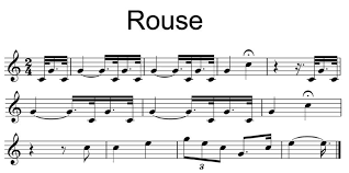 rouse是什么意思