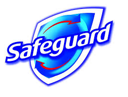 safeguard是什么意思