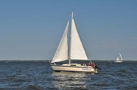sailboat是什么意思