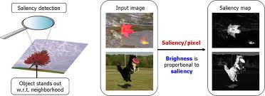 saliency是什么意思